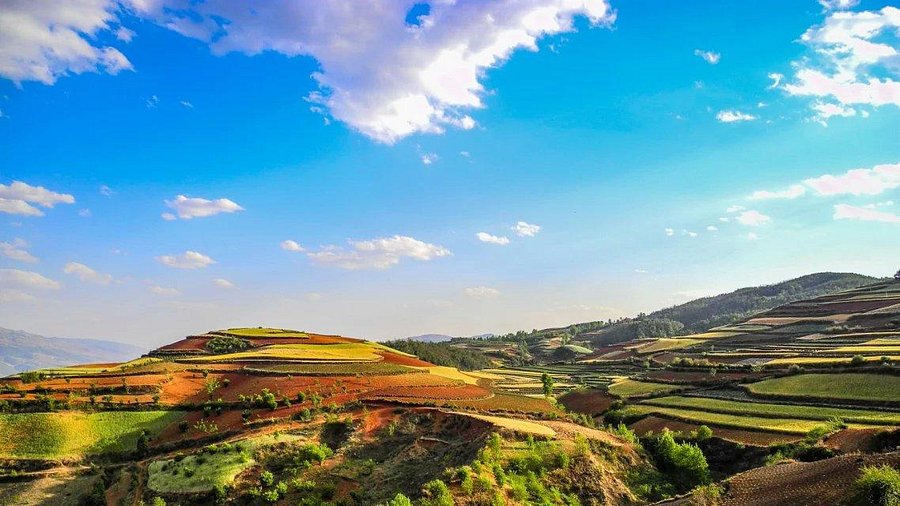 Exploring Foshan 95 Chang 98 Chang? Easy Tips for a Great and Safe Experience There.