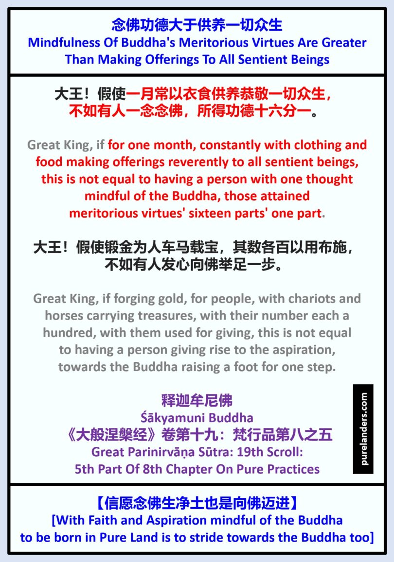 How can you use 佛山葵花浦典论 well? Smart people share easy tips from their experience.