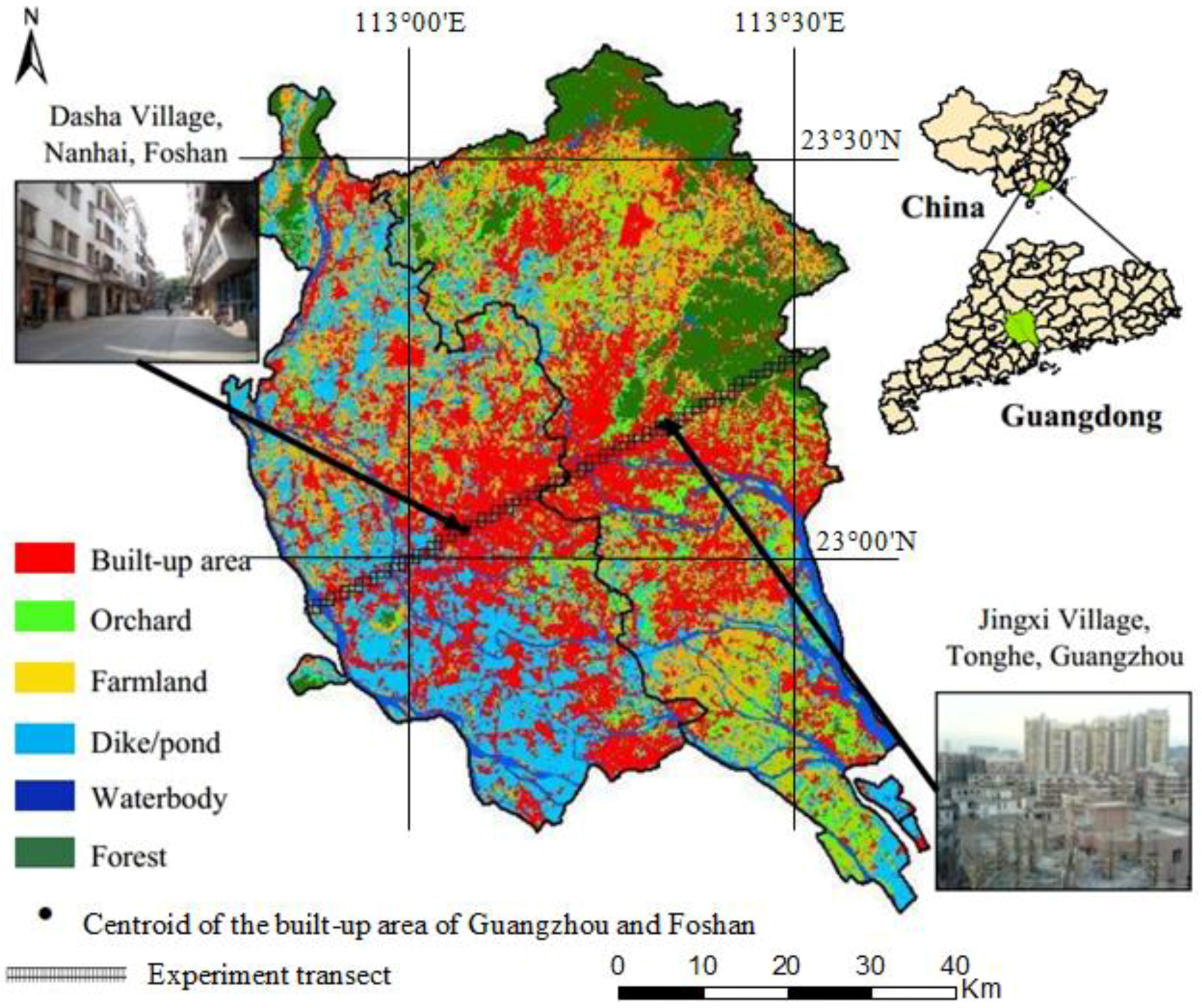 Thinking of a visit? Read this Foshan 98 Field Experience Report for all the essential information.