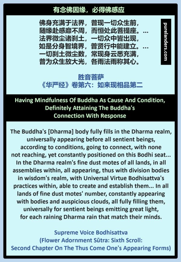 How can you use 佛山葵花浦典论 well? Smart people share easy tips from their experience.