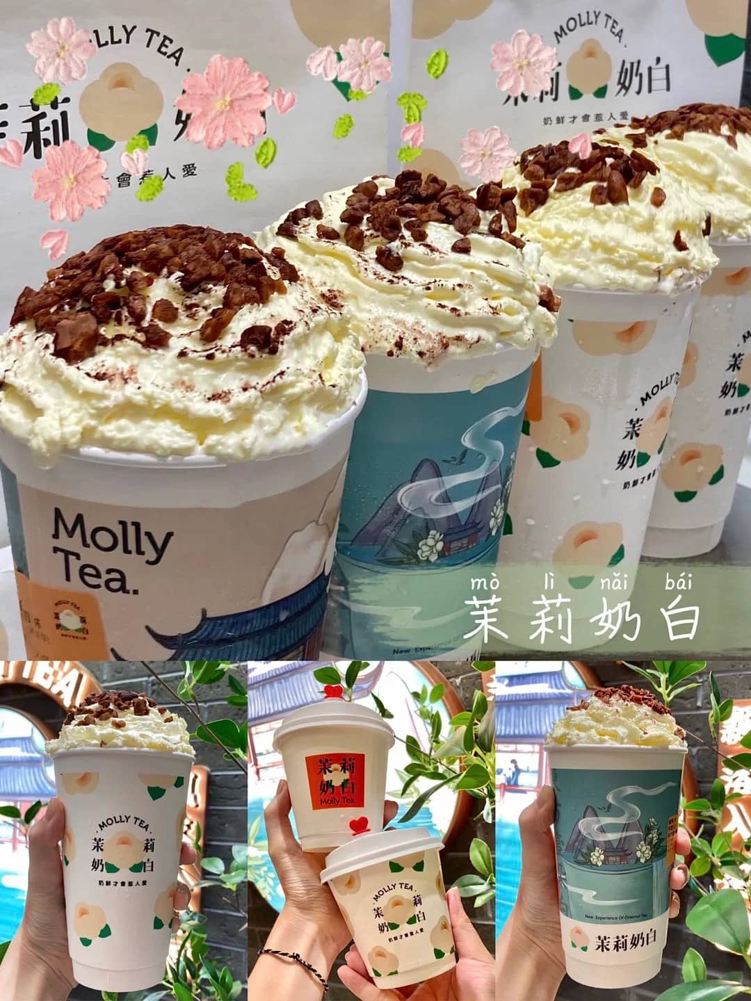 Where can I get Shenzhen tea contact information? Discover top places to connect for tea.